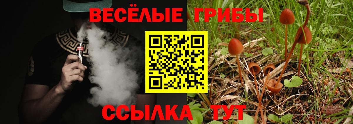 Псилоцибиновые грибы Cubensis  Вход с VPN  Галлюциногенные грибы Magic Shrooms  Петрозаводск 